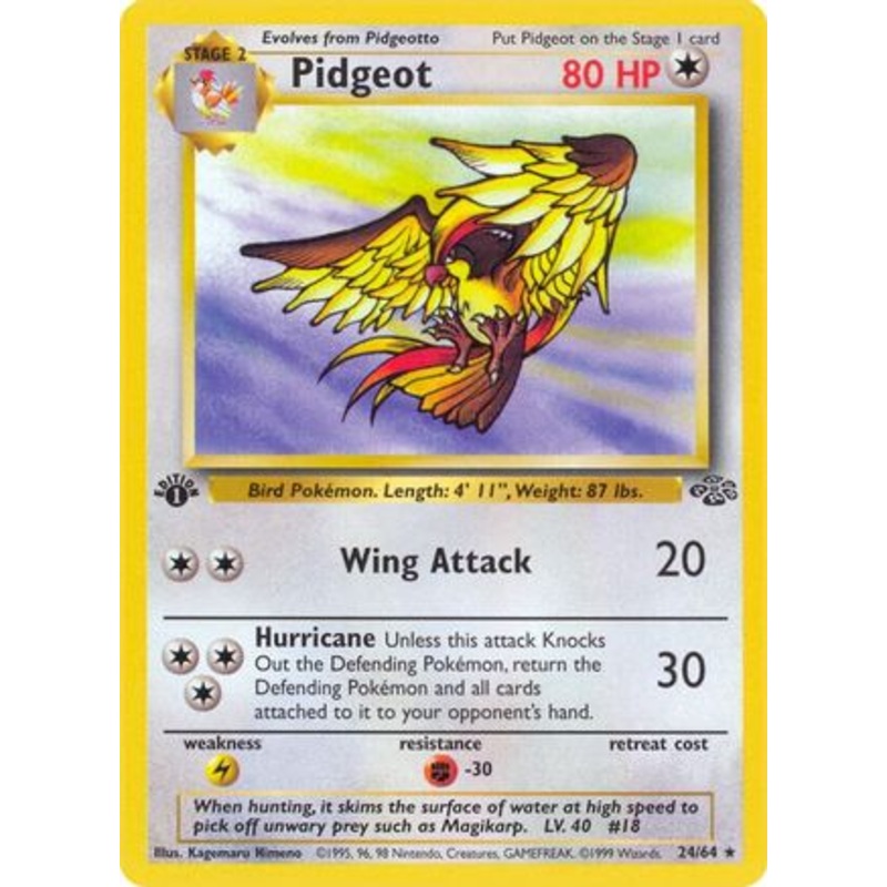 Pidgeot (24) 024/64  - 1st Edition Jungle - Rare