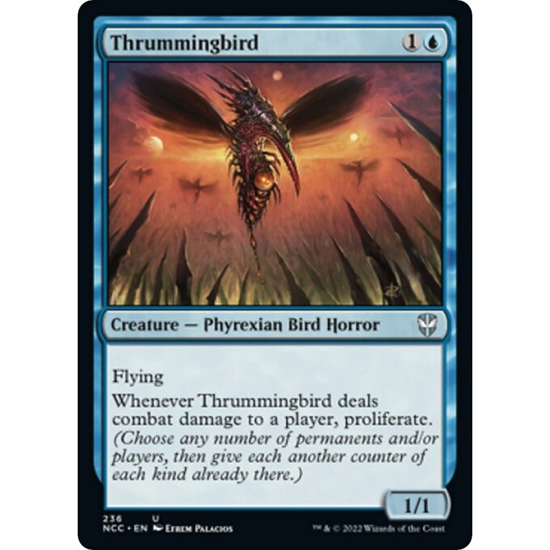 Thrummingbird [NCC - 236]