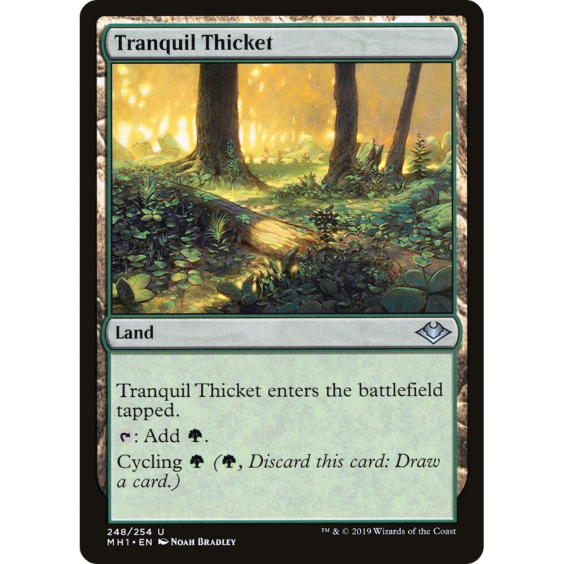 Tranquil Thicket (MH1-248) - Modern Horizons
