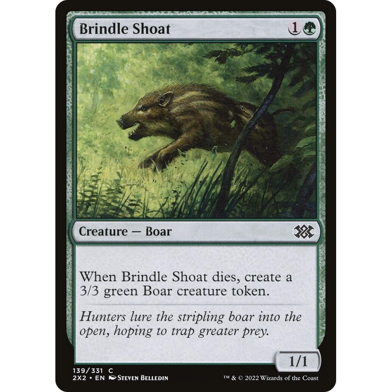 Brindle Shoat [2X2 - 139]