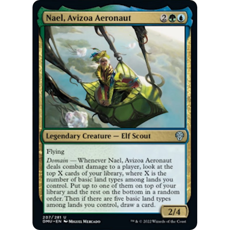 Nael, Avizoa Aeronaut [DMU - 207]