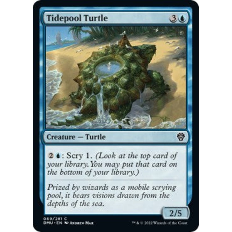 Tidepool Turtle [DMU - 69]