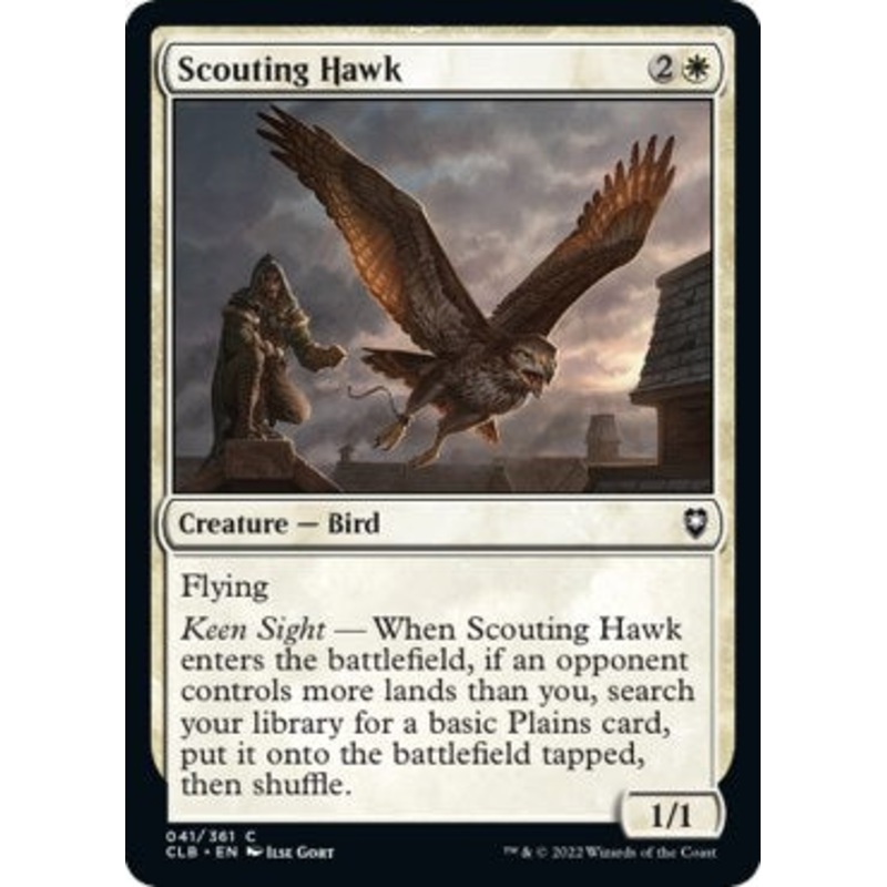 Scouting Hawk [CLB - 41]