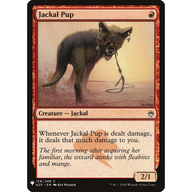 Jackal Pup [LIST - 139]