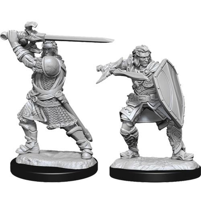 D&D: Nolzur's Marvelous Miniatures: Human Paladin Male