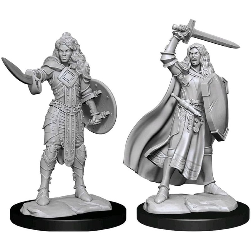 Wizkids Pathfinder Deep Cuts Female Human Champion Miniature
