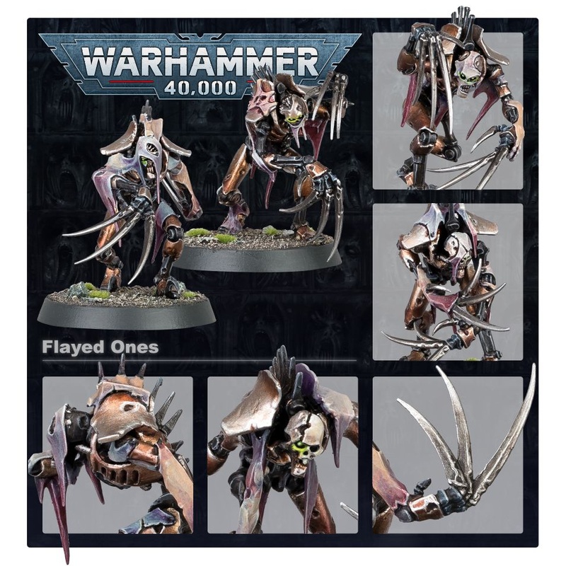 Warhammer 40k Necron Flayed Ones