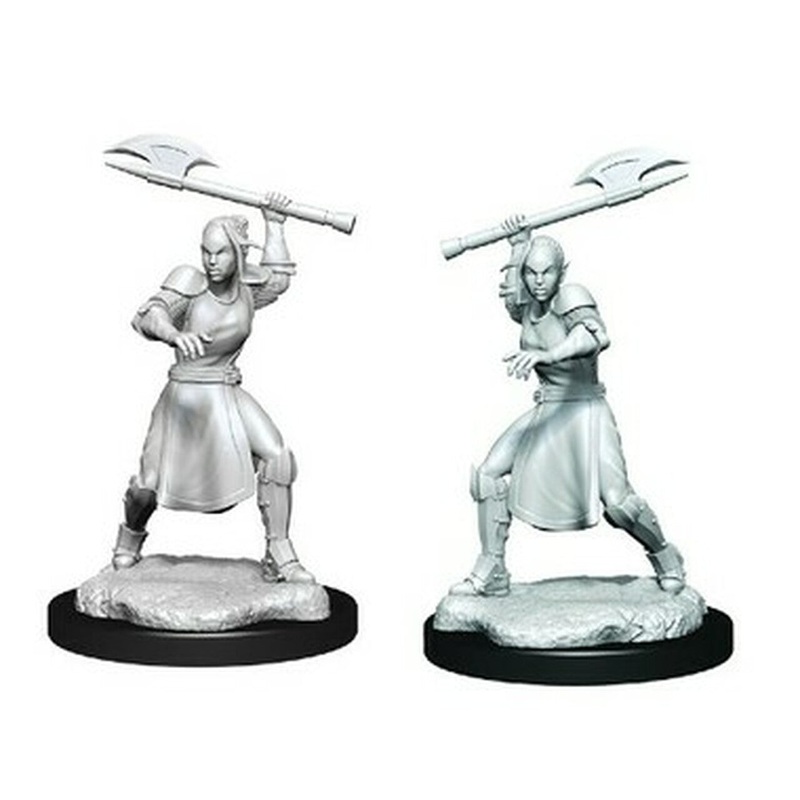 Critical Role Unpainted Miniatures: Half-Elf Echo Knight and Echo Female