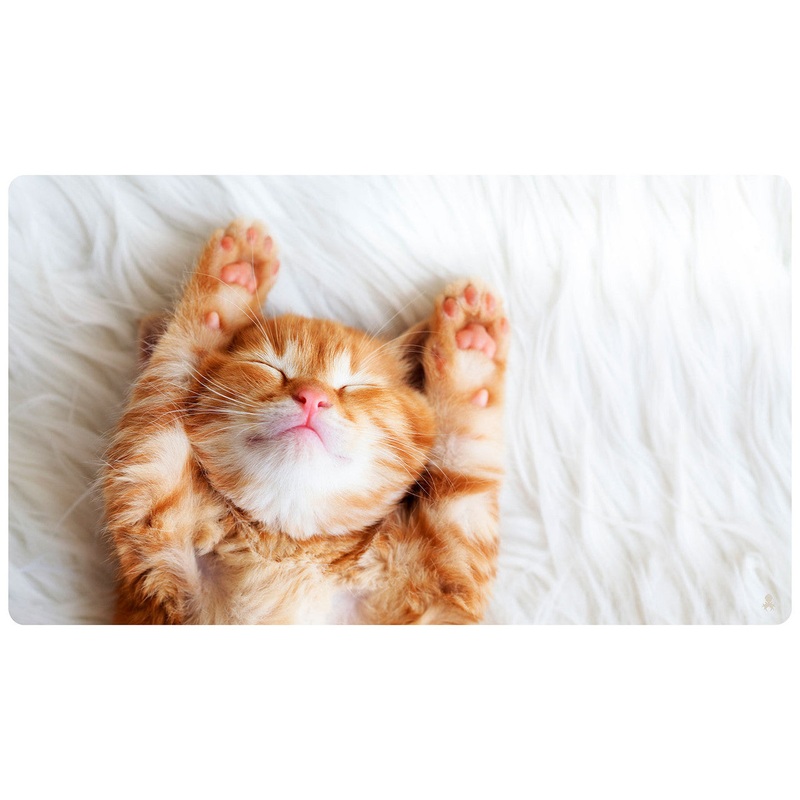 Kitty Game Mat